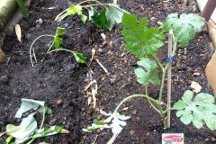 03_IMG_2026-05-29-11-59-32-180