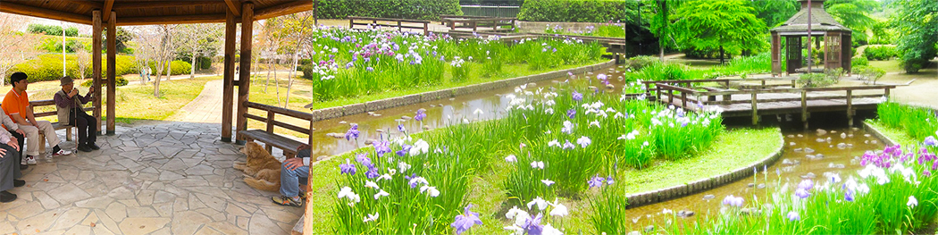 近隣に寺ヶ池公園